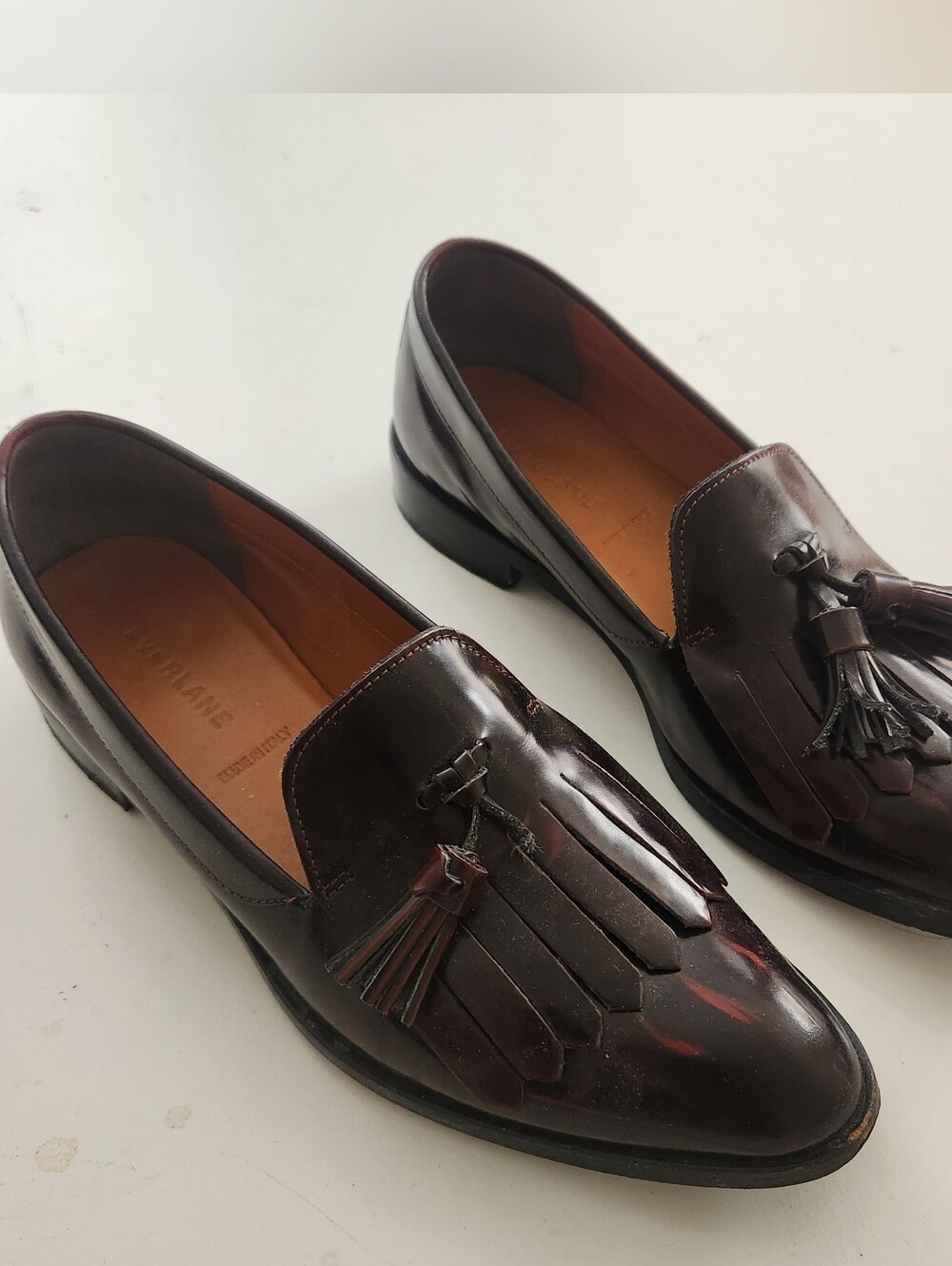 Oxblood Pointed Toe Loafers